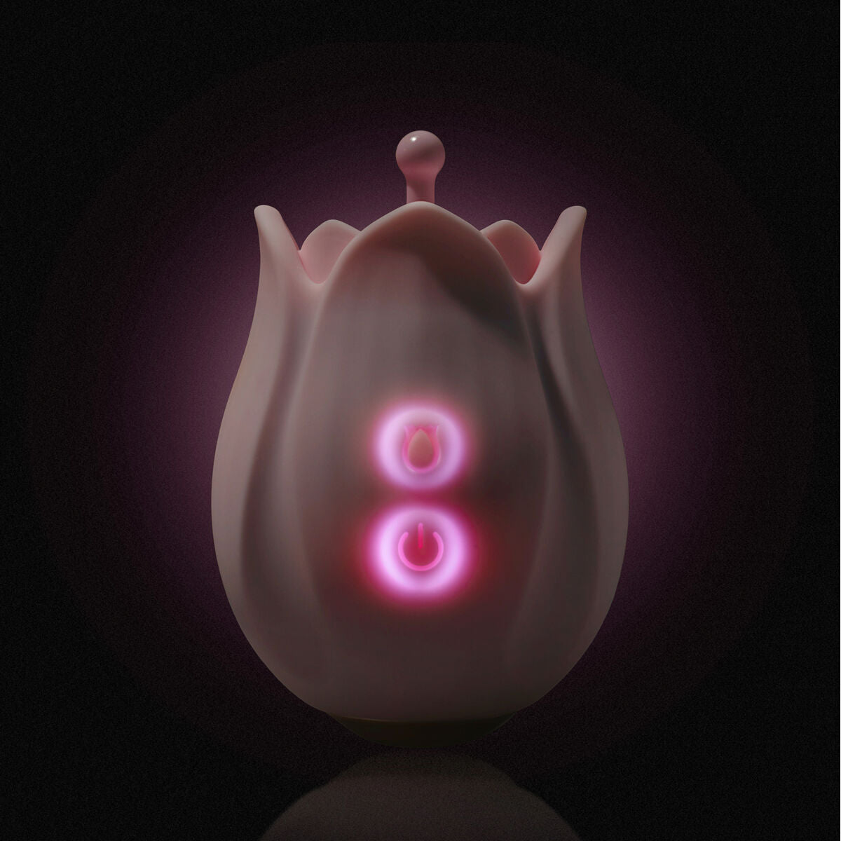 V2H5C8B2220CB66E071BDD97A95827CA18FR5584141P8