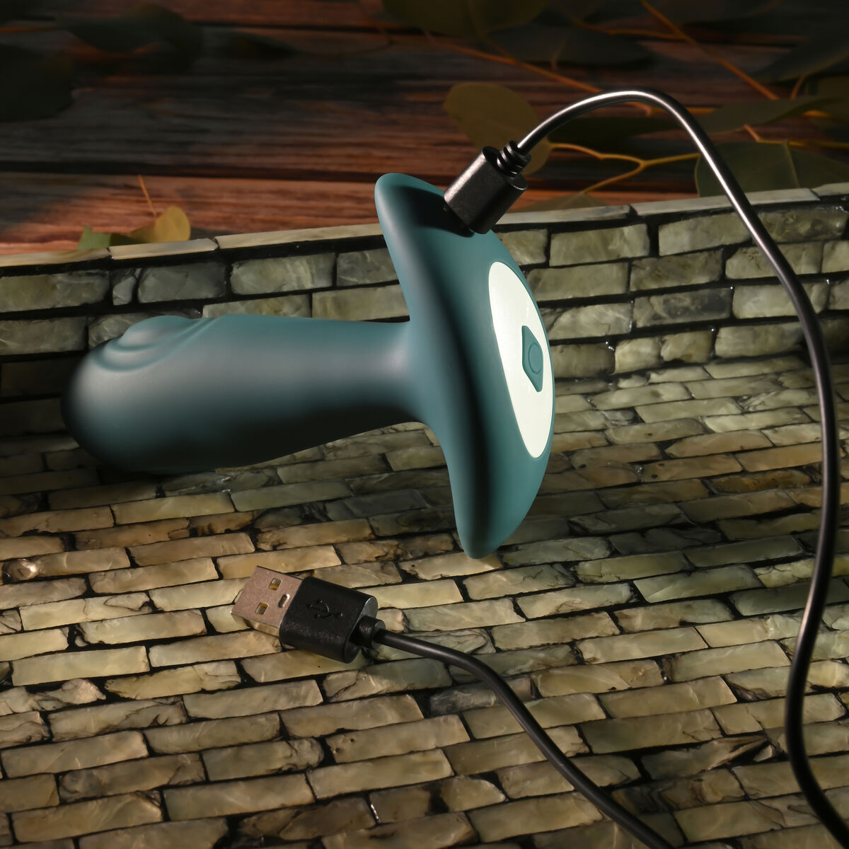 V3H8F73E85E422D039C83FC80401C27DBDER4901481P6