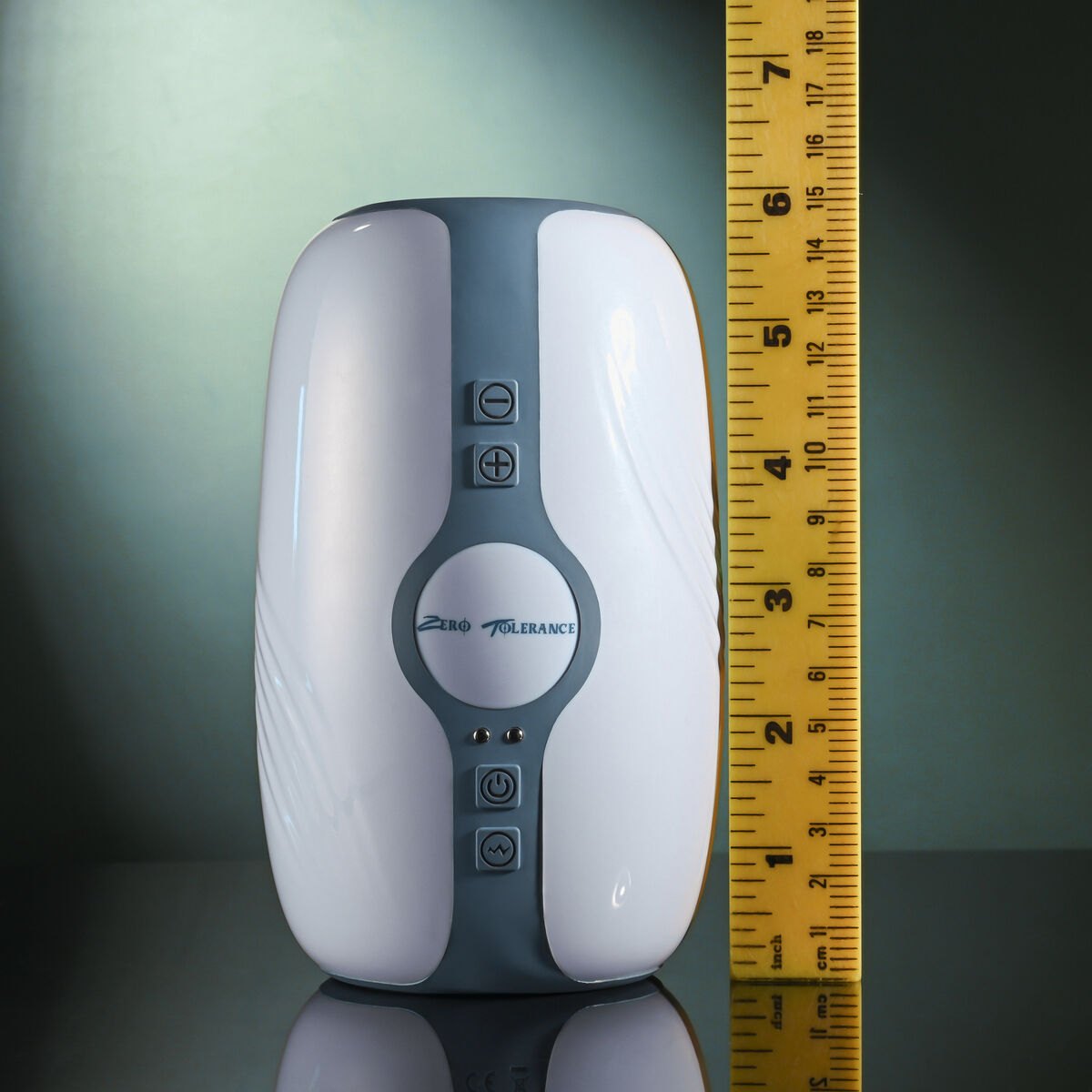 V2H8E2902859A84A34DCA3E60E3408F2BFBR5679159P8