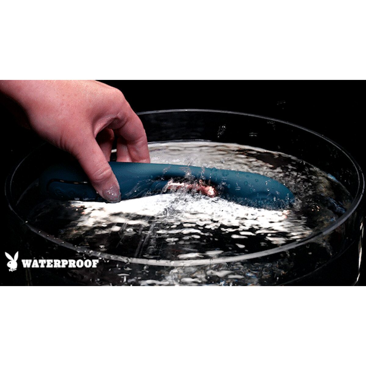 V2H998FFB024097ECE5A97C9E8398EE8338R5583558P10