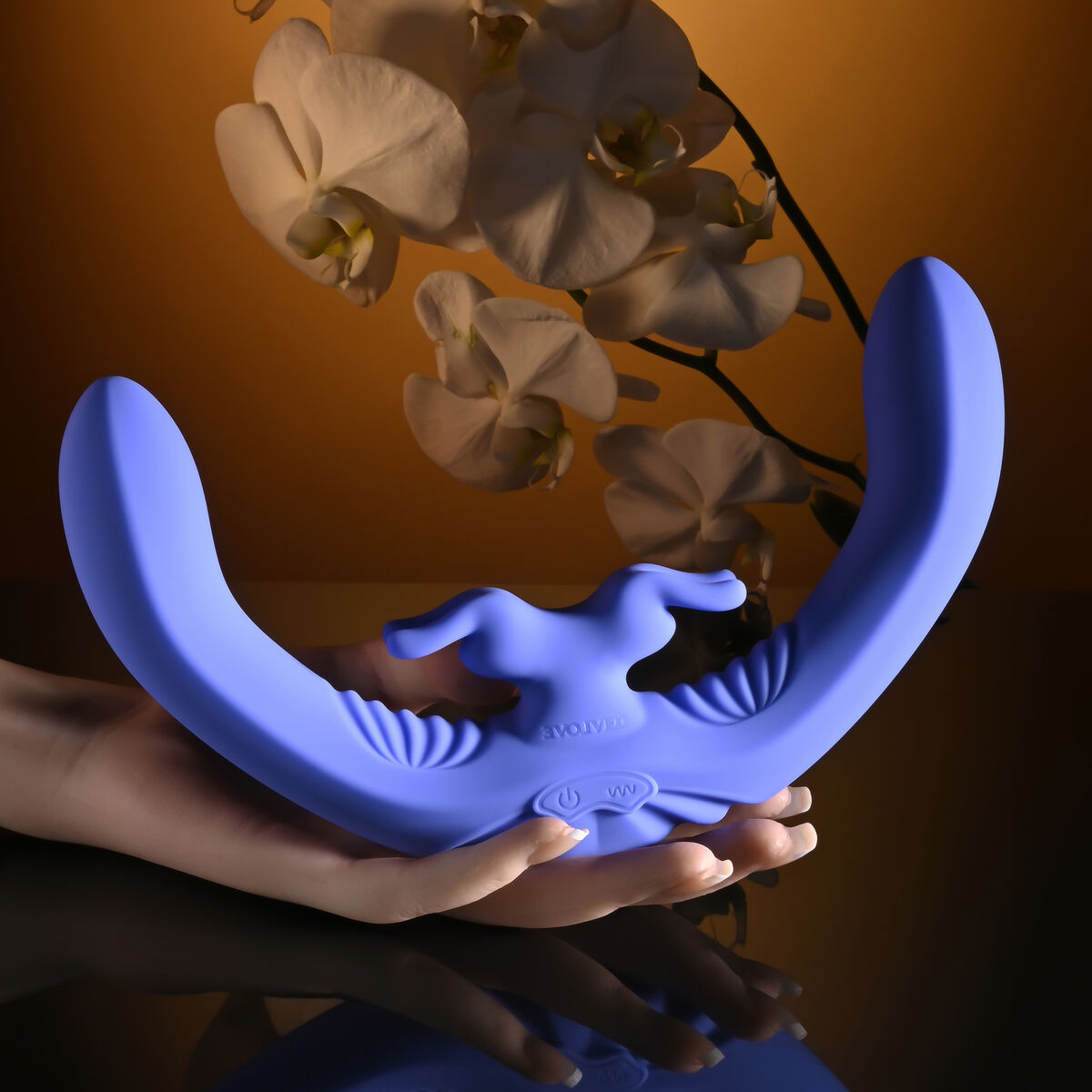 V2HAE55110F1B8CCD9DCF024588AACB30BAR5678741P5