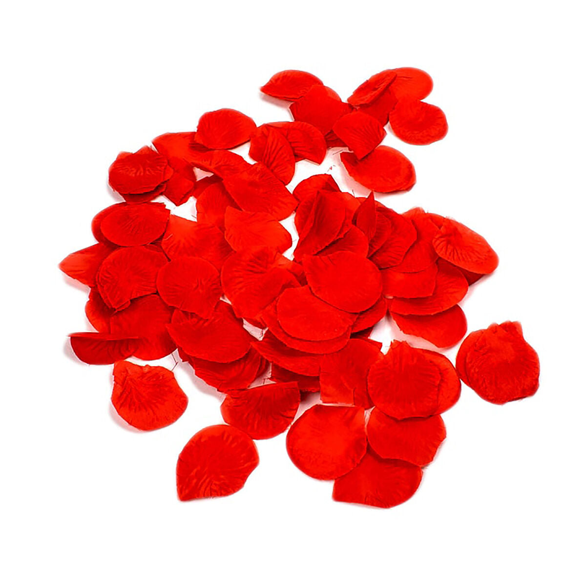 V2H860FF4C71D8188E85EDB84BB29859970R5590279P5